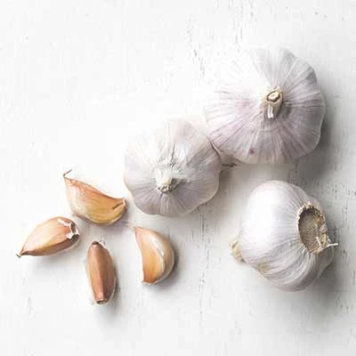 11 All-Natural Antibiotics Safe Doctor-Recommended Options in Dubai