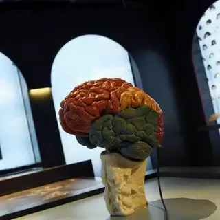Alzheimer's Treatment Cost in Dubai